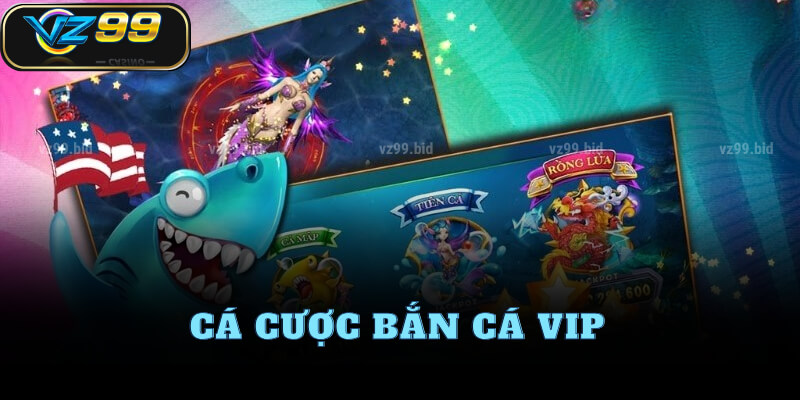 Cách tham gia bắn cá VIP tại VZ99