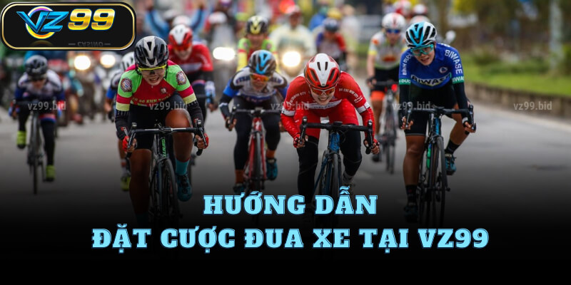 Hướng dẫn đặt cược đua xe tại VZ99