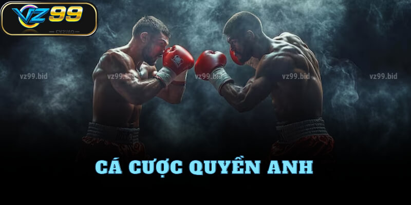 Hướng dẫn cá cược quyền anh tại VZ99