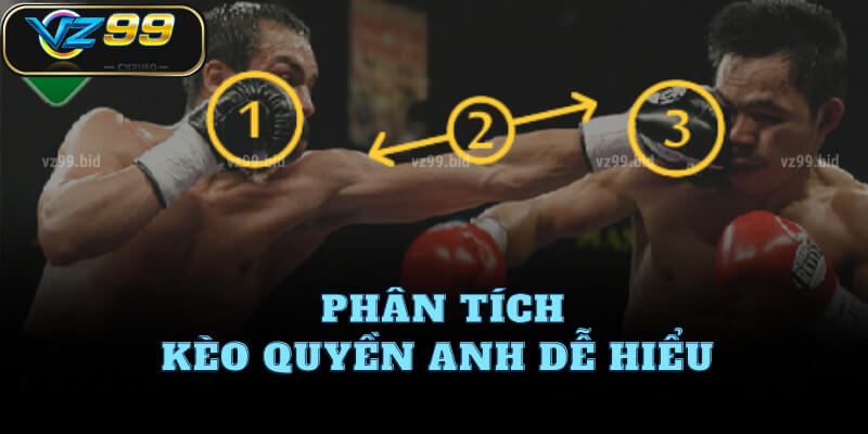 Phân tích kèo quyền anh dễ hiểu