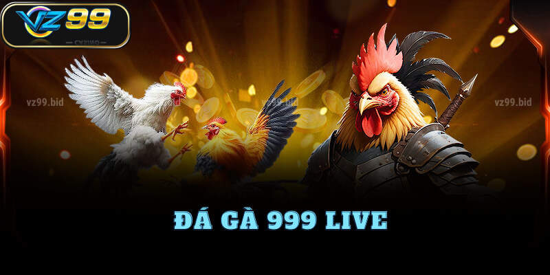 Trải nghiệm đá gà 999 live hấp dẫn