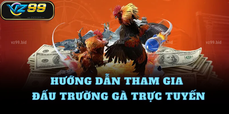 Hướng dẫn tham gia đấu trường gà trực tuyến