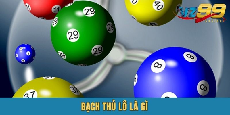 Bạch Thủ Lô Là Gì? Bí Quyết Bắt Bạch Thủ Giúp Bạn Thắng Lớn