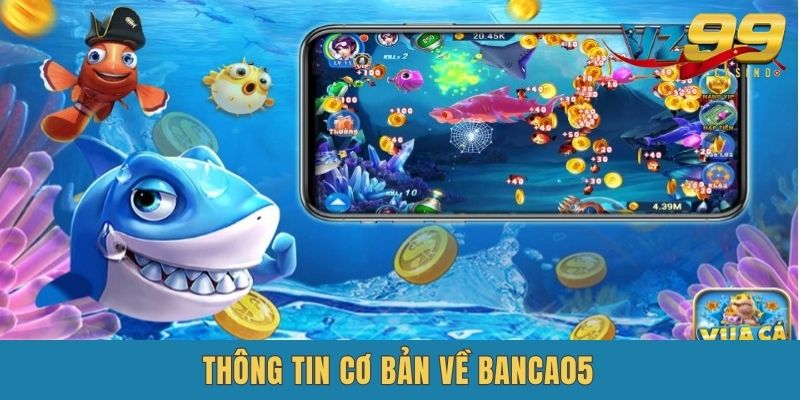 Banca05 - Đôi nét cơ bản